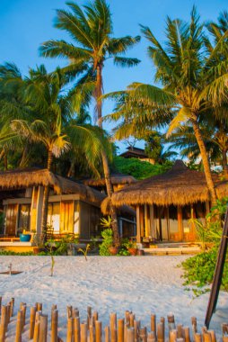 Palmiyeler ve plaj evleri. Boracay, Filipinler