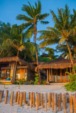 Palmiyeler ve plaj evleri. Boracay, Filipinler