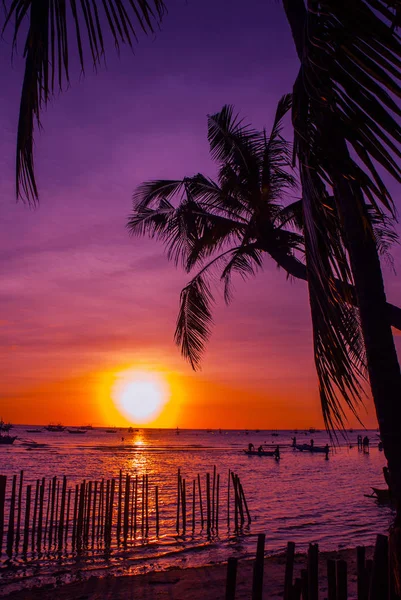 Tropikal peyzaj gün batımında. Gökyüzü arka plan üzerinde palmiye ağaçları. Beyaz plaj. Boracay. Filipinler.