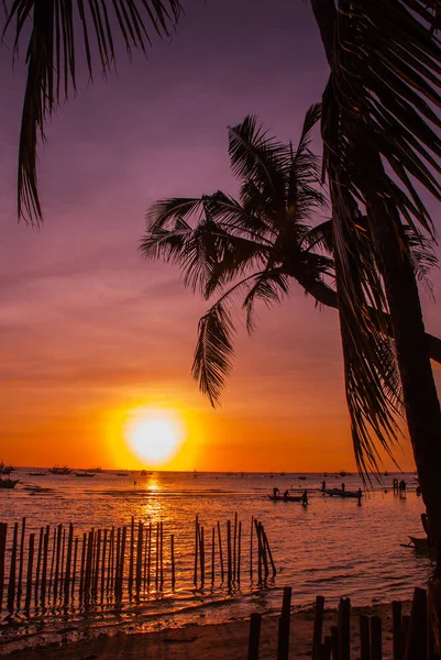 Paesaggio tropicale al tramonto. Palme sullo sfondo del cielo. Spiaggia bianca. Boracay. Filippine . — Foto Stock