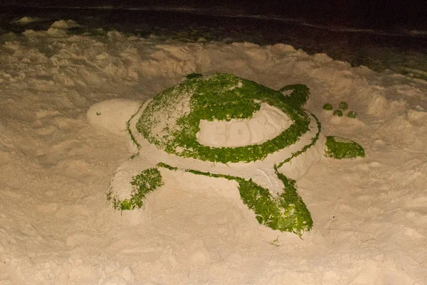 Скульптури піску. Черепаха. Боракай. Філіппіни. — стокове фото