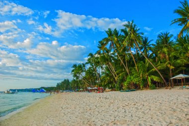 Beyaz sahilde güzel palmiye ağaçları. Boracay Adası, Filipinler