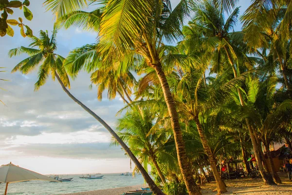 Beautiful tropical landscape with palm trees in the evenin. Boracay, Philippines — Stock Photo, Image
