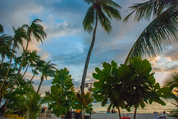 Beautiful tropical landscape with palm trees in the evenin. Boracay, Philippines — Stock Photo, Image