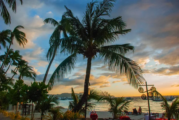 Gün batımında palmiye ağaçları ile güzel tropikal peyzaj. Boracay, Filipinler