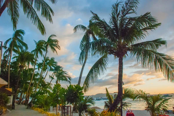 Güzel tropikal peyzaj evenin içinde palmiye ağaçları ile. Boracay, Filipinler