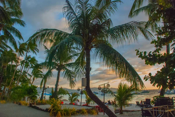 Güzel tropikal peyzaj evenin içinde palmiye ağaçları ile. Boracay, Filipinler