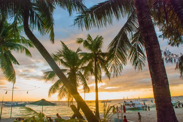 Beautiful tropical landscape with palm trees at sunset. Boracay, Philippines — Stock Photo, Image