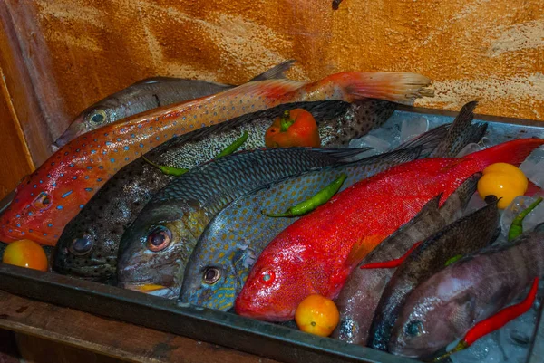 Zeevoedsel op ijs op de vismarkt — Stockfoto