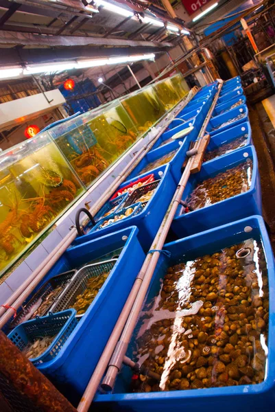 Seafood on ice at the fish market. Variety of grilled seafood in Kota Kinabalu market. — Stock Photo, Image