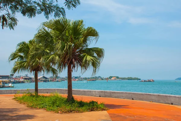 Central promenade med palmer vid havet. Kota Kinabalu, Sabah, Malaysia. — Stockfoto