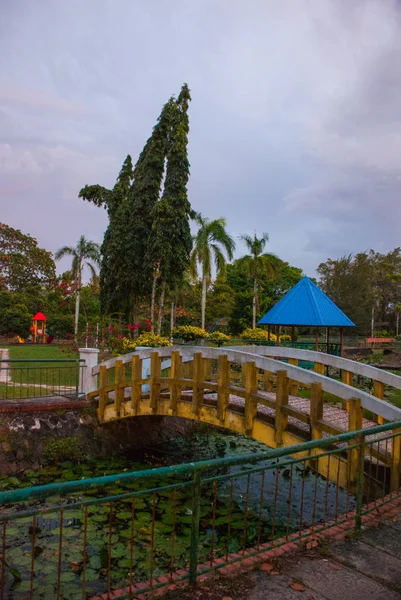 晚上在公园的桥上, 用睡莲在池塘里长大。马来西亚。哥打京那巴鲁 — 图库照片