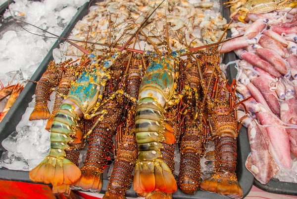 Mariscos sobre hielo en el mercado de pescado. Venta de langosta —  Fotos de Stock