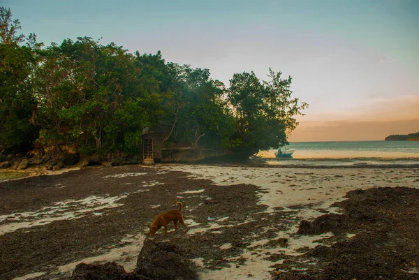 Paesaggio serale di una piccola isola e il mare. Boracay, Filippine — Foto Stock