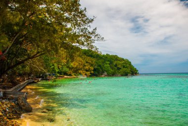 Manzaralı plaja sapı Adası'nda bir manzara