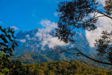 Mount Kinabalu Milli Parkı, Sabah Borneo, Malezya