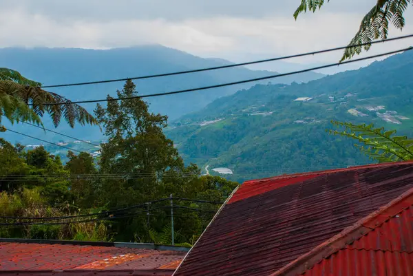 Park Narodowy Mount Kinabalu, Sabah, Borneo, Malezja — Zdjęcie stockowe