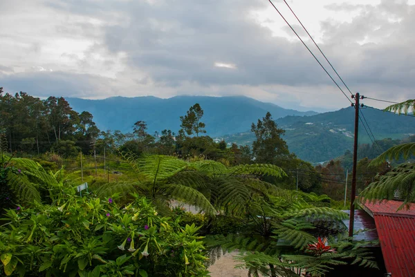 Parque Nacional Mount Kinabalu, Sabah Borneo, Malásia — Fotografia de Stock