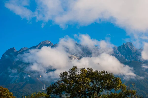 Mount Kinabalu Milli Parkı, Sabah Borneo, Malezya