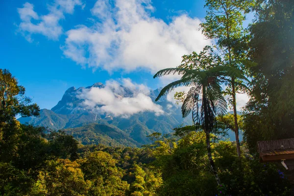 Mount Kinabalu Milli Parkı, Sabah Borneo, Malezya