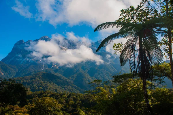 Nationaal Park Mount Kinabalu, Sabah, Borneo, Maleisië — Stockfoto