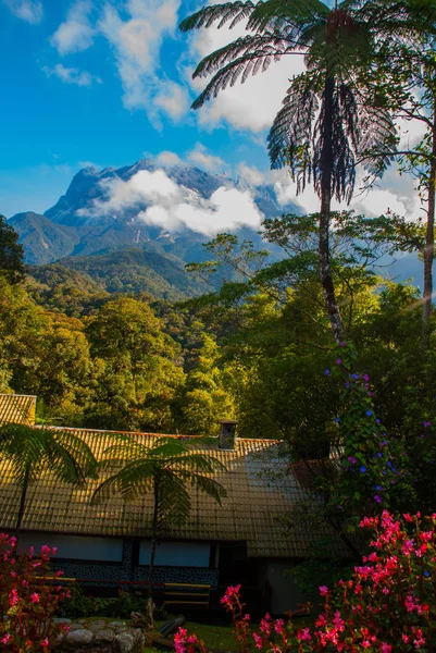 Nationaal Park Mount Kinabalu, Sabah, Borneo, Maleisië — Stockfoto