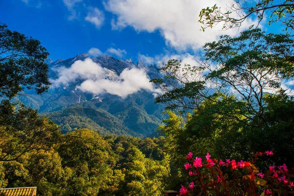 Národní Park Mount Kinabalu, Sabah Borneo, Malajsie — Stock fotografie