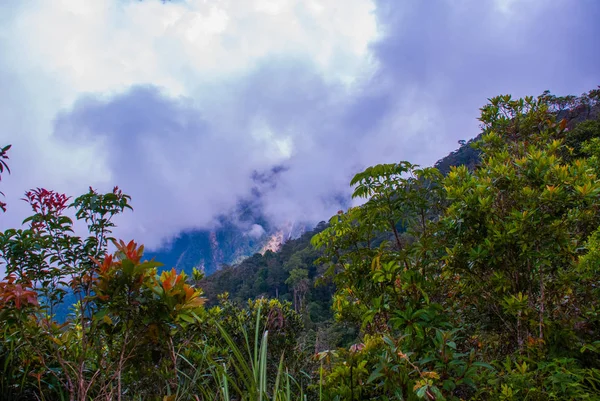 Parque Nacional Mount Kinabalu, Sabah Borneo, Malásia — Fotografia de Stock