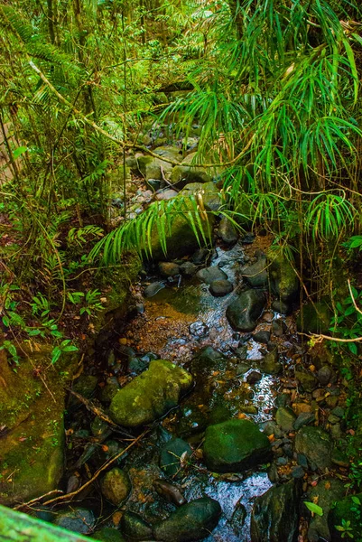 Pedras e riacho. Paisagem tropical da floresta tropical, Sabah Borneo, Malásia — Fotografia de Stock
