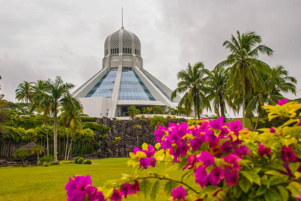 Bina kediler müzesidir. Kırmızı pembe çiçekler. Kuching, Borneo, Sarawak, Malezya