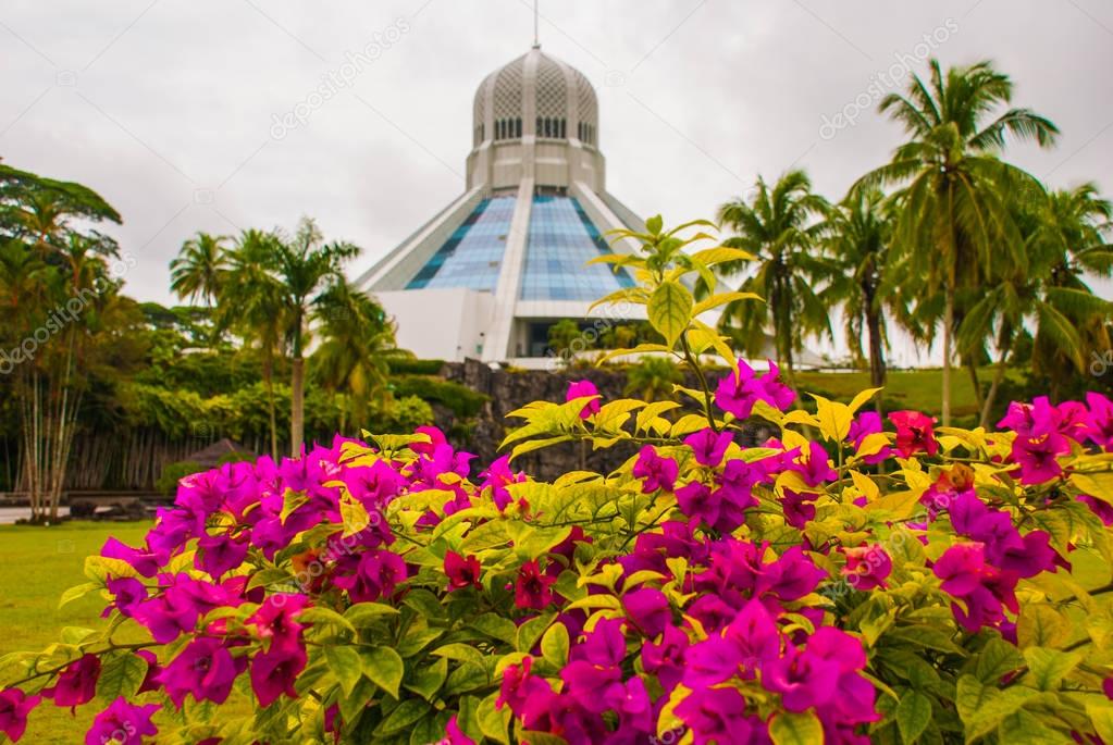 The building is a Museum of cats. Red pink flowers. Kuching, Borneo, Sarawak, Malaysia