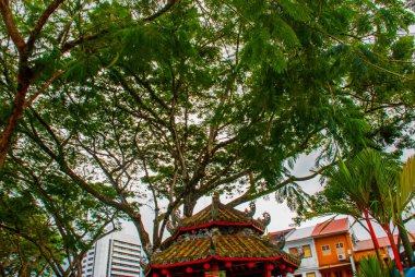 Arka plan ağaç Çin Pavyonu. Kuching, Sarawak, Malezya.