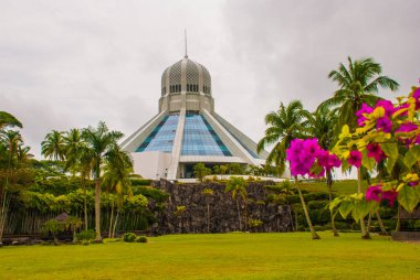Bina kediler müzesidir. Kırmızı pembe çiçekler. Kuching, Borneo, Sarawak, Malezya
