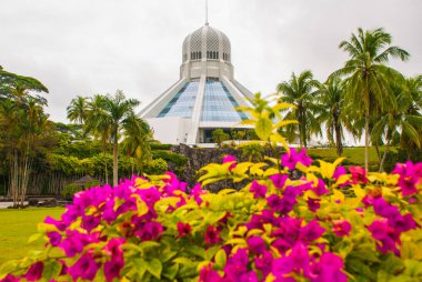 Bina kediler müzesidir. Kırmızı pembe çiçekler. Kuching, Borneo, Sarawak, Malezya