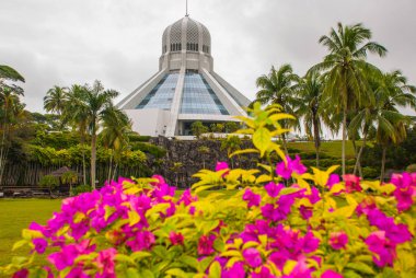 Bina kediler müzesidir. Kırmızı pembe çiçekler. Kuching, Borneo, Sarawak, Malezya