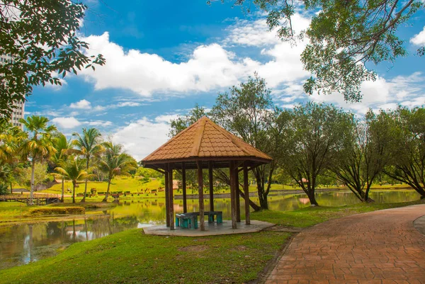 O mirante junto à cascata. Paisagem no verão Parque com árvores. Muito bem. Sarawak. Bornéu. Malásia . — Fotografia de Stock