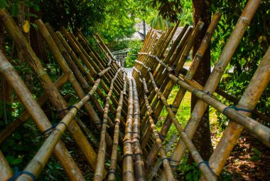 Geleneksel bambu köprü sapma kültür Köyü girmek için ziyaretçiler tarafından geçti. Sarawak, Malezya