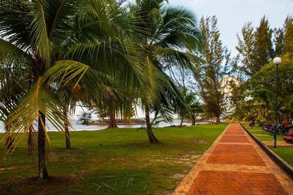Road with palm trees, city Bintulu, Borneo, Sarawak, Malaysia. Pantai Temasya Tanjung Batu
