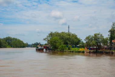 Çalılar ve nehir manzara. Malezya, Borneo