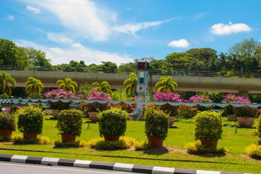 Saat Kulesi ve çiçekler, uzaktan Tapınağı Bem Kanada Hill. Miri şehir, Borneo, Sarawak, Malezya