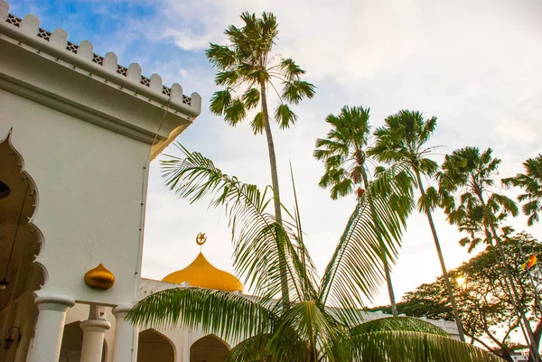 Mesquita Masjid At-Taqwa com sua cúpula dourada e palmeiras. Miri city, Bornéu, Sarawak, Malásia — Fotografia de Stock