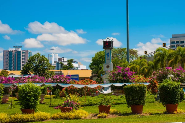 Saat Kulesi ve çiçekler, uzaktan Tapınağı Bem Kanada Hill. Miri şehir, Borneo, Sarawak, Malezya