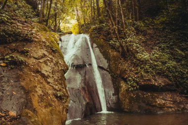 Şelale orman tropik yağmur ormanı manzara. Malezya, Asya, Borneo, Sabah