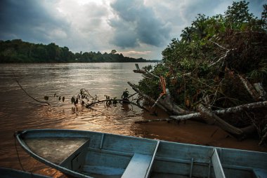 Kinabatangan nehir, Borneo, Sabah Malezya. Akşam peyzaj ağaçları, su ve deniz araçları.