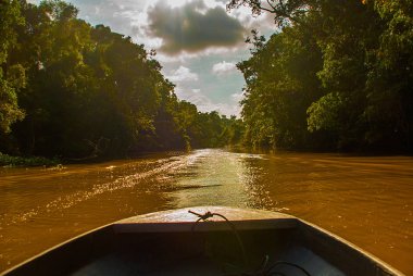 Ahşap tekne yüzer nehir Kinabatangan ve yoğun tropik orman. Sabah, Borneo, Malezya