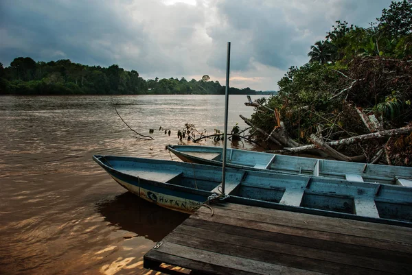 Kinabatangan nehir, Borneo, Sabah Malezya. Akşam peyzaj ağaçları, su ve deniz araçları.