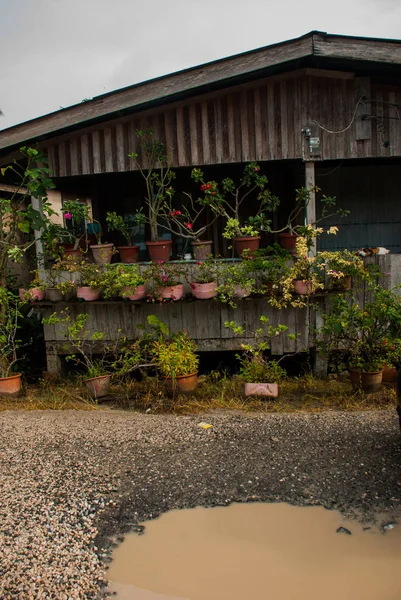 Út a pocsolya, a faluban. Ház virágok cserépben. Malajzia, Borneo, Sabah. — Stock Fotó