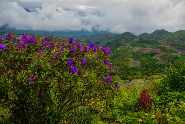 Montanhas nas nuvens, as aldeias e as colinas com campos. Sabah, Bornéu, Malásia — Fotografia de Stock