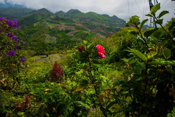 Montanhas nas nuvens, as aldeias e as colinas com campos. Sabah, Bornéu, Malásia — Fotografia de Stock