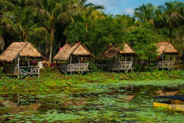 Göl bir thatched çatı ile küçük bir çardak nilüferler ve palmiye ağaçları, doğal görünümünü. Borneo, Malezya